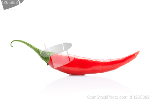 Image of chili pepper isolated on white