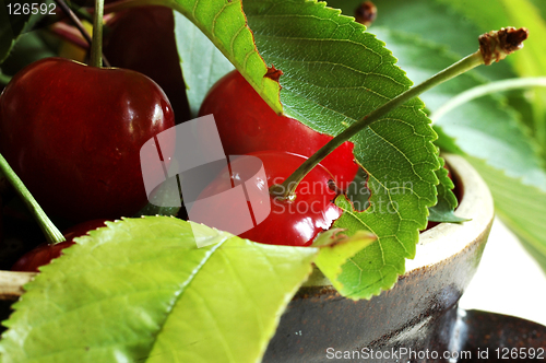 Image of sweet cherrys with leafs1