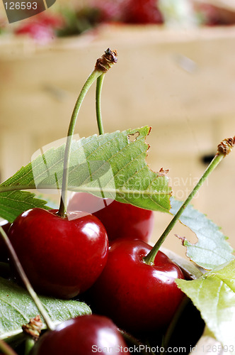 Image of sweet cherrys with leafs