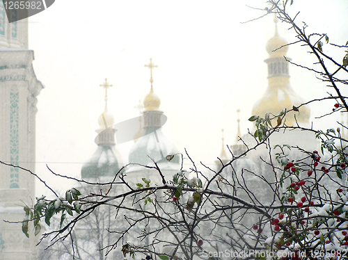 Image of Brunches of dog rose in snow against the church