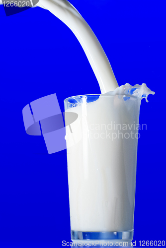 Image of Milk splash isolated on blue