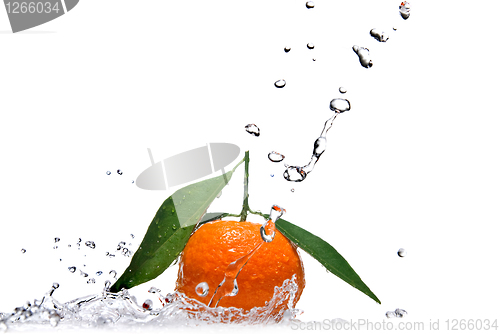 Image of Tangerine with green leaves and water splash isolated on white