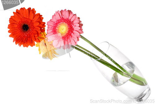 Image of Bouquet from daisy-gerbera in glass vase isolated on white