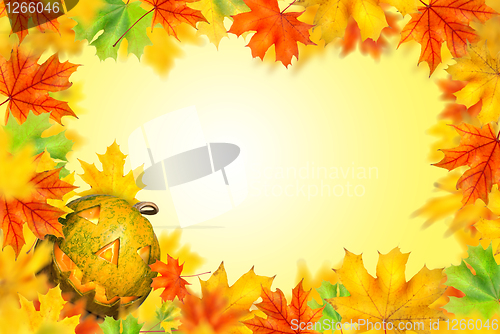 Image of halloween pumpkin with autumn leaves isolated