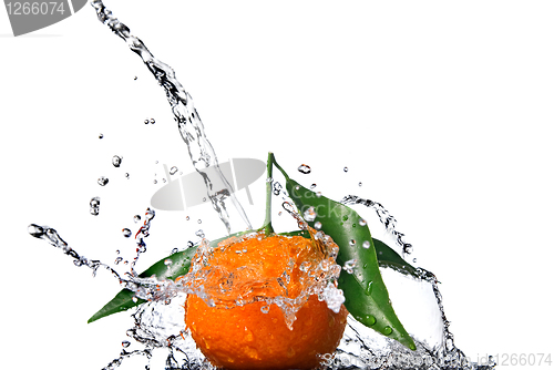 Image of Tangerine with green leaves and water splash isolated on white