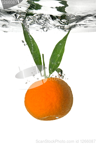 Image of tangerine dropped into water with bubbles on white