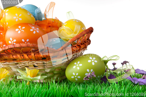 Image of color easter eggs in basket isolated on white