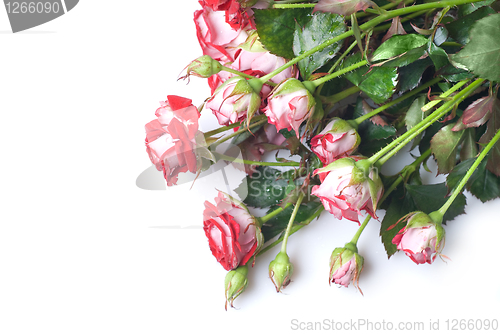 Image of red rose bouquet isolated on white