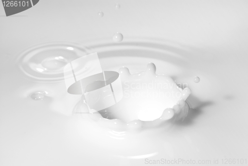 Image of Milk splash