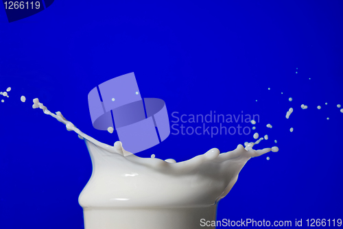 Image of Milk splash isolated on blue