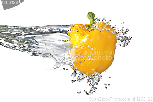 Image of fresh water splash on yellow sweet pepper isolated on white