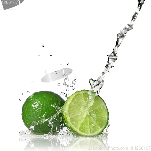 Image of Water splash on lime isolated on white