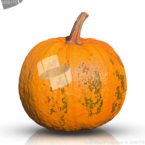 Image of pumpkin isolated on white 