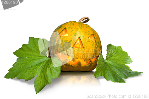 Image of halloween pumpkin with leaves isolated on white