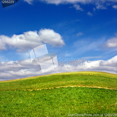 Image of Green field against blue sky and clouds
