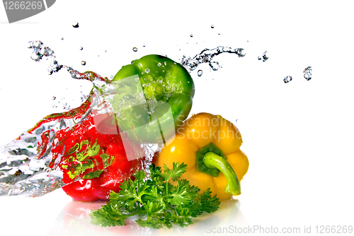 Image of red, yellow, green pepper and parsley with water splash isolated