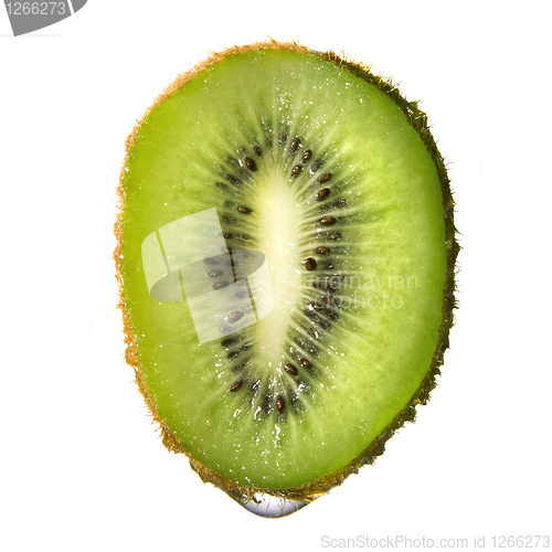 Image of macro of kiwi with water drop isolated on white