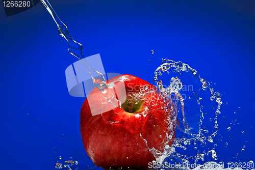 Image of Green apple with water splash on blue background