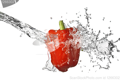Image of fresh water splash on red pepper isolated on white