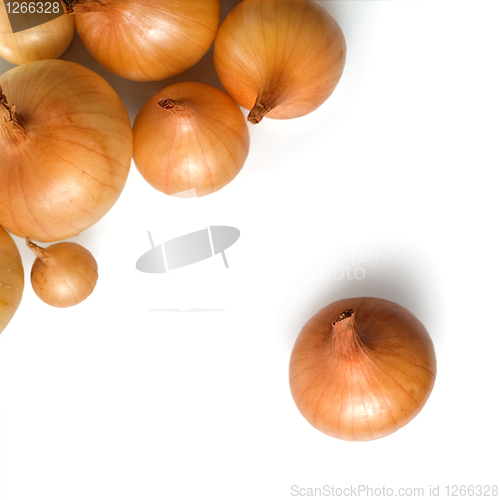 Image of onion isolated on white