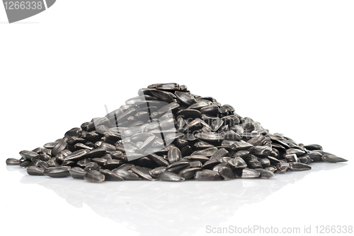 Image of pile of black sunflower seeds isolated on a white background