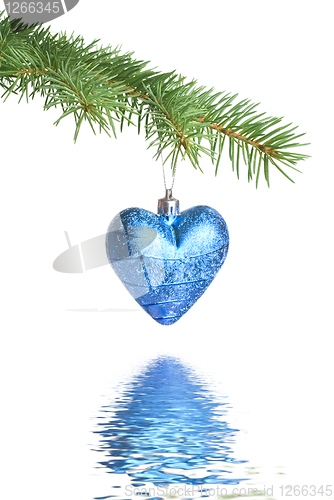 Image of Christmas ball on fir tree branch with reflection