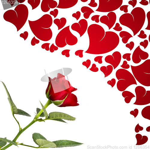 Image of Red rose and hearts for lovers