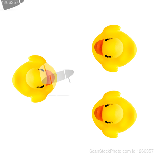 Image of three rubber yellow ducks isolated on white