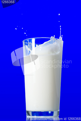Image of Milk splash isolated on blue