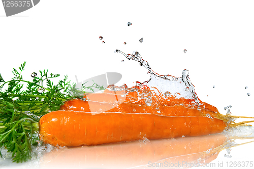 Image of fresh water splash on carrot isolated on white