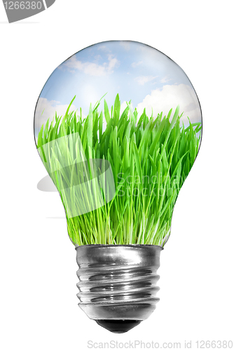 Image of Natural energy concept. Light bulb with summer meadow inside iso