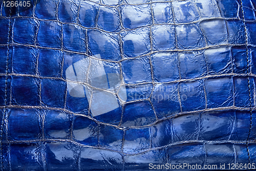 Image of luxury blue leather texture