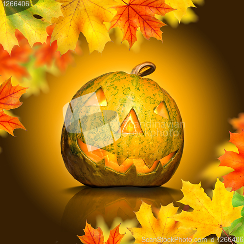 Image of halloween pumpkin with leaves
