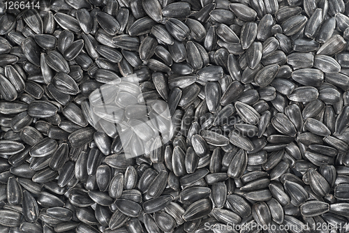 Image of background from black sunflower seeds