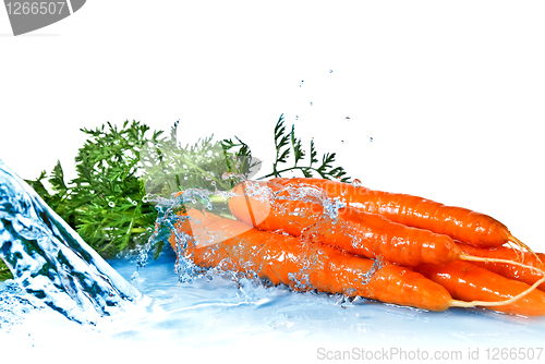 Image of fresh water splash on carrot with leaves isolated on white