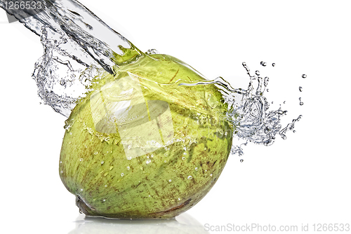 Image of fresh water splash on coconut isolated on white
