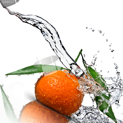 Image of Tangerine with green leaves and water splash isolated on white