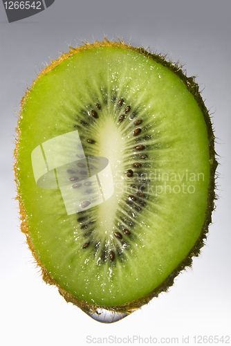 Image of Close up kiwi with water drop