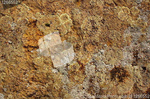 Image of Natural stone texture