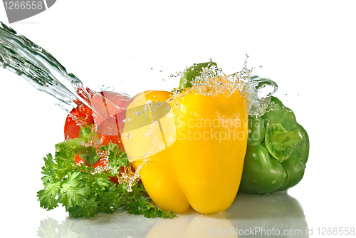 Image of red, yellow, green pepper and parsley with water splash isolated