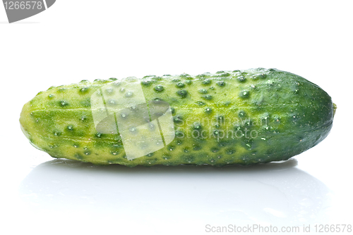 Image of green cucumber with water drops isolated on white