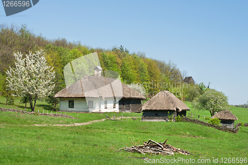 Image of old houses against green forest