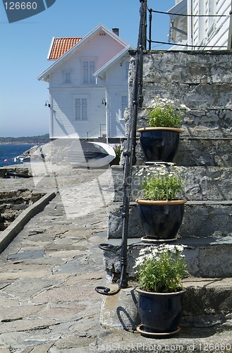 Image of House and flowers in Loshavn, Norway