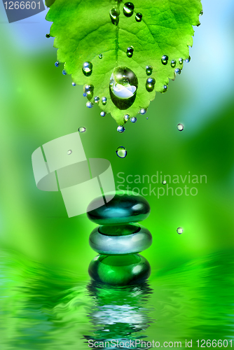 Image of balancing spa shiny stones with leaf and water drops on green ba