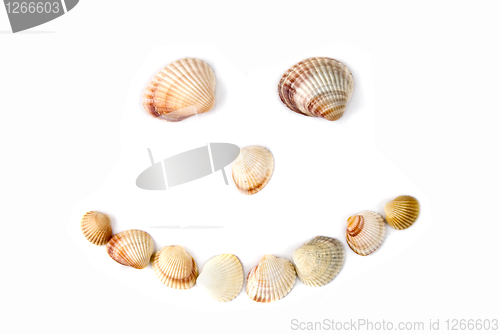 Image of smile from various color shells isolated on white