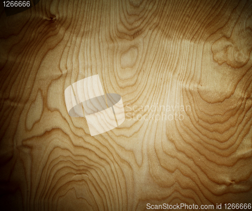Image of grunge vein wood panel