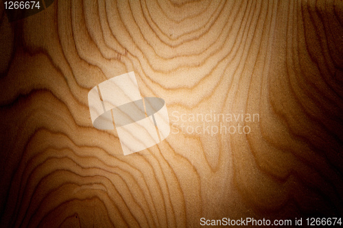 Image of wood panel background