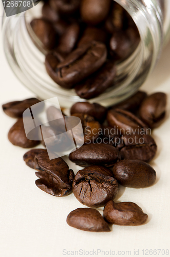 Image of Coffee beans