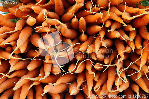 Image of carrots 