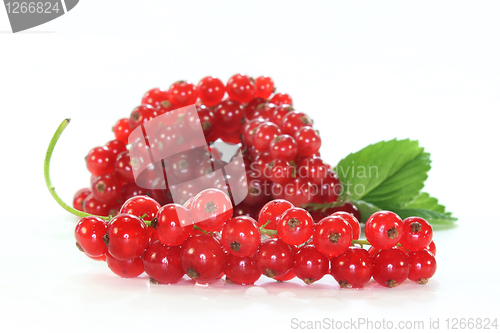 Image of red Currants